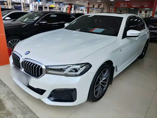 BMW 5 Series 2021