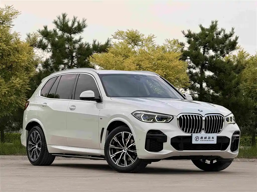 BMW X5 2022