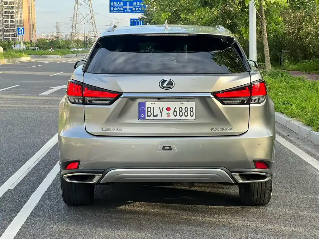Lexus RX 2020 — фото 8