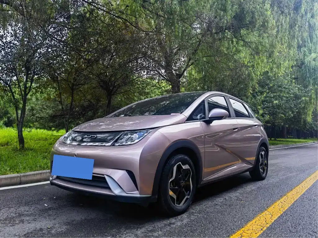 BYD Dolphin 2022