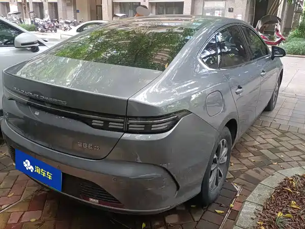 BYD Destroyer 05 2024