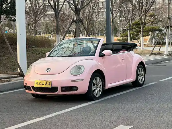 Volkswagen Beetle 2010