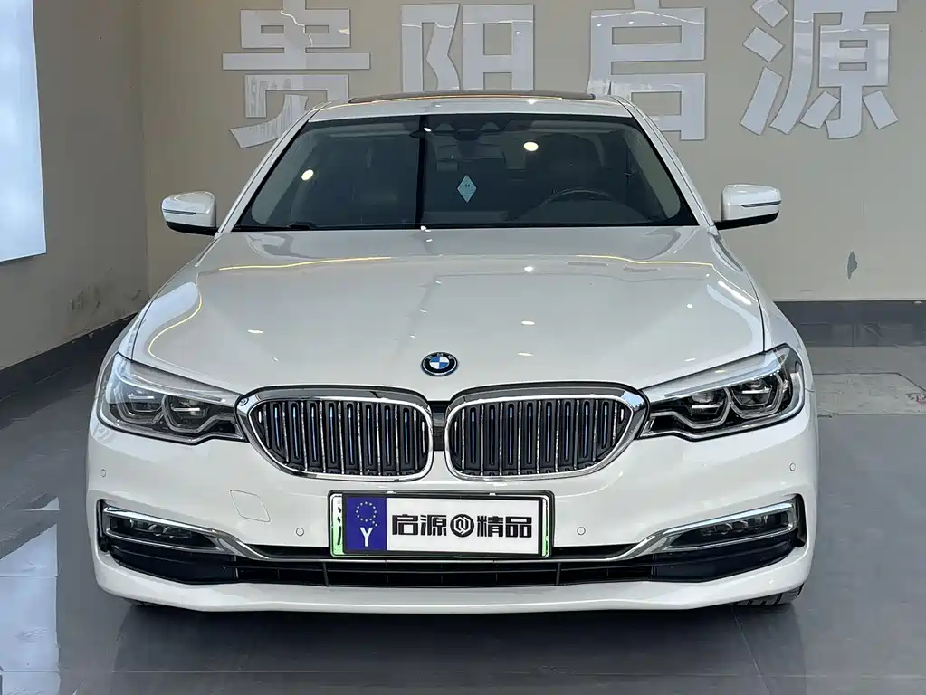 BMW 5 Series New Energy 2019