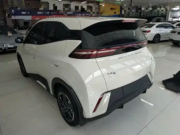 BYD Seagull 2024