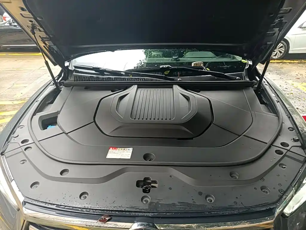 BYD Song Pro New Energy 2021 — фото 20
