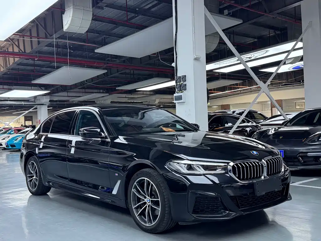 BMW 5 Series 2021