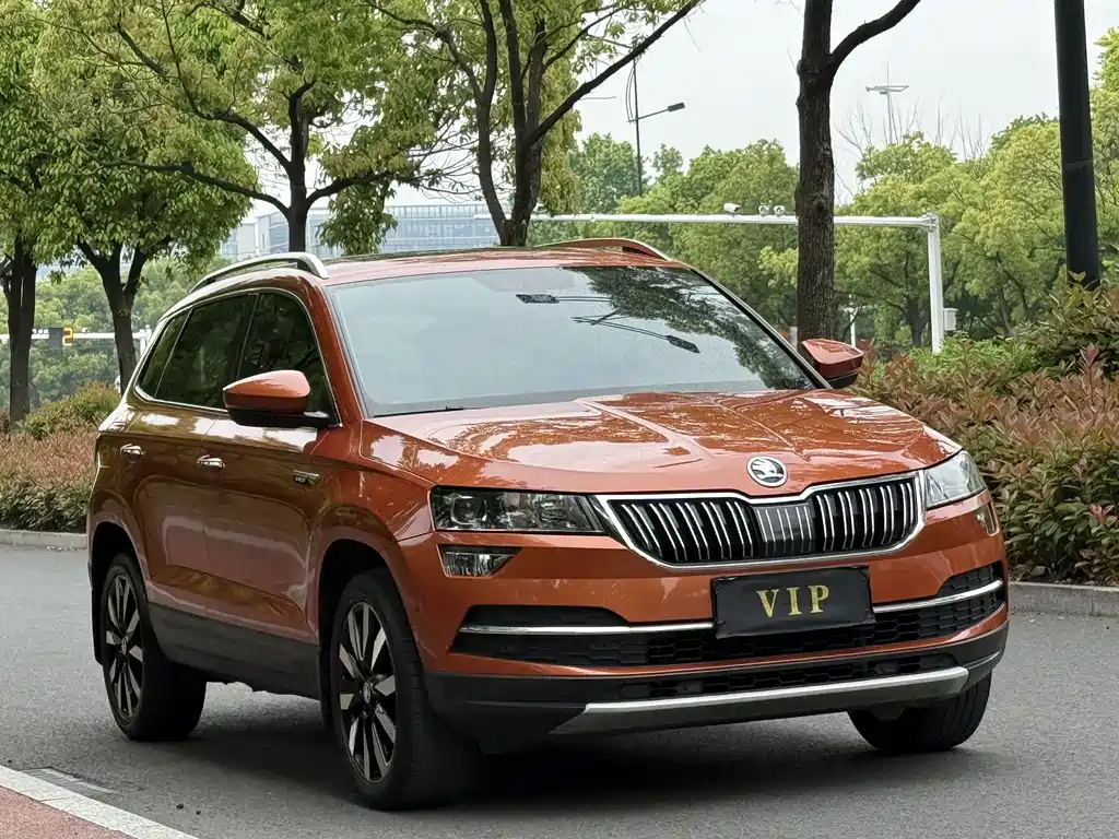 Skoda Karoq 2021 — фото 3