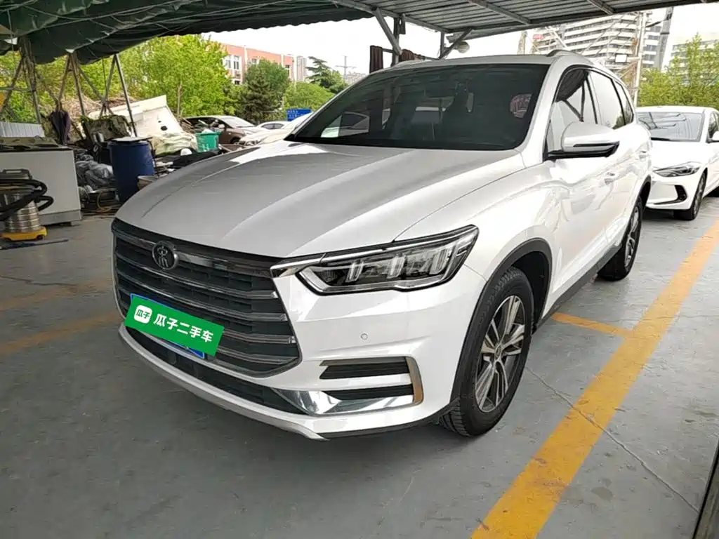 BYD Pro 2020 — фото 2