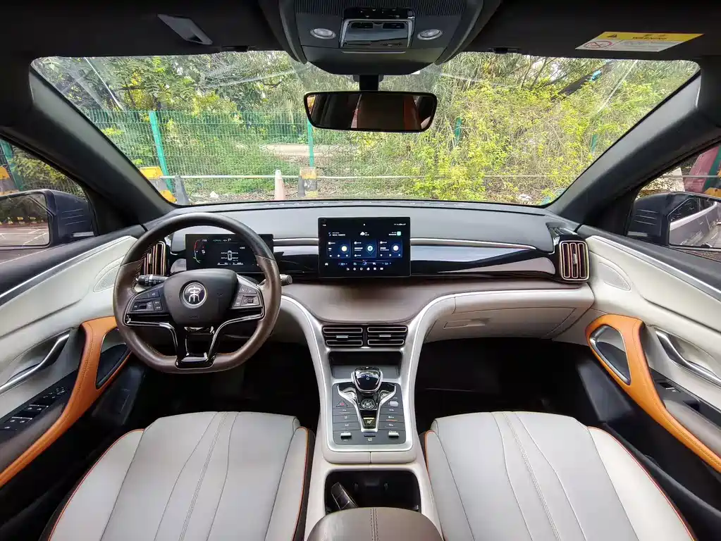 BYD Song Pro New Energy 2023 — фото 12