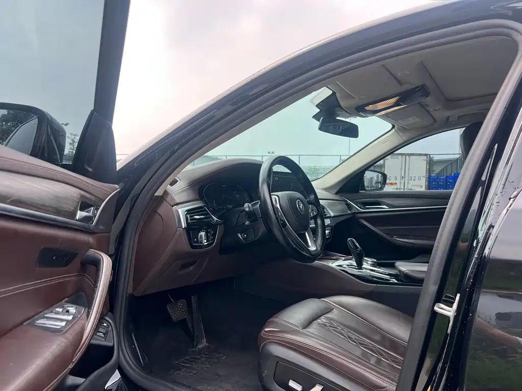 BMW 5 Series New Energy 2020