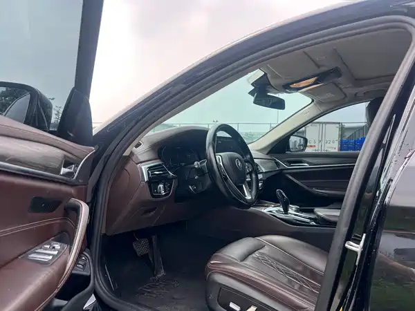 BMW 5 Series New Energy 2020