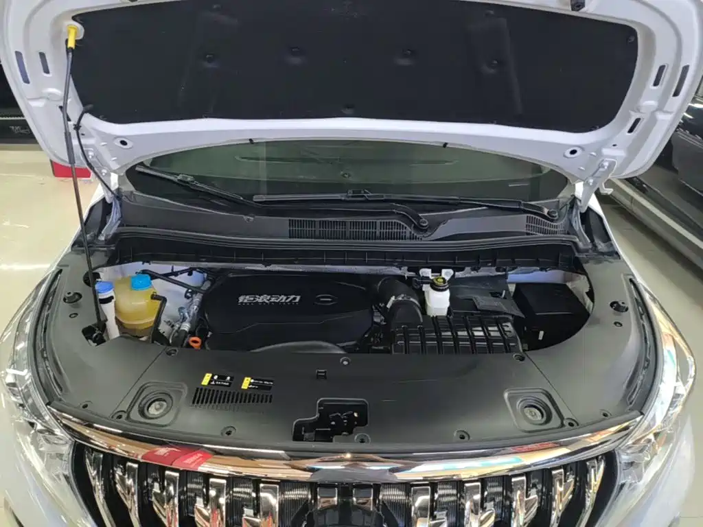 GAC Motor Trumpchi M8 2022 — фото 20