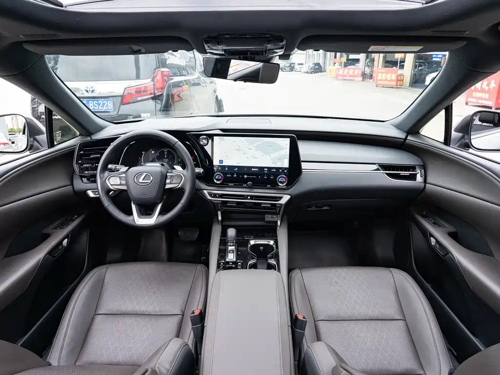 Lexus RX New Energy 2023 — фото 13