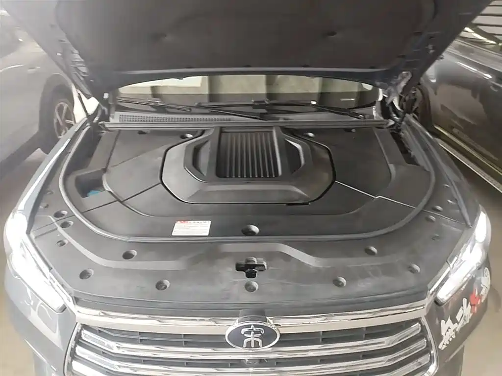 BYD Pro New Energy 2021 — фото 20