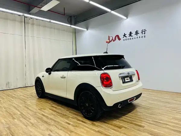 MINI MINI 2019