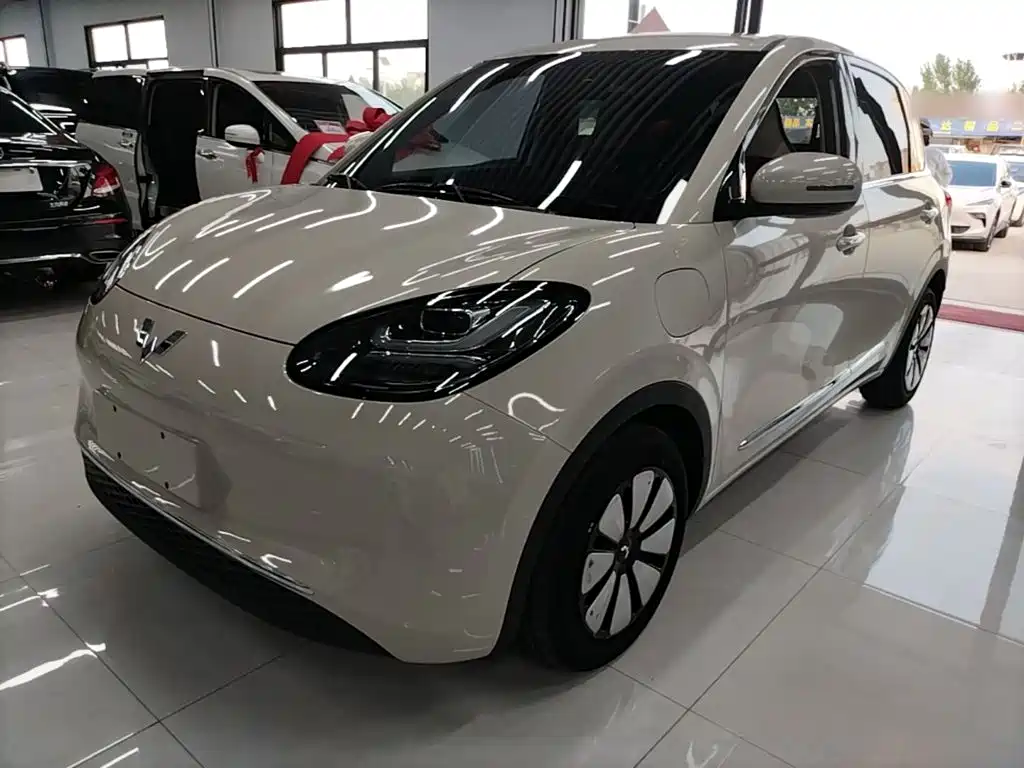 Wuling Bingo 2024