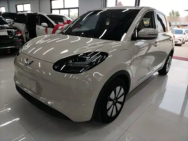 Wuling Bingo 2024