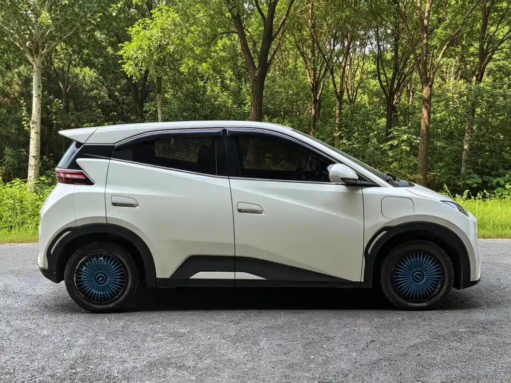 BYD Seagull 2025