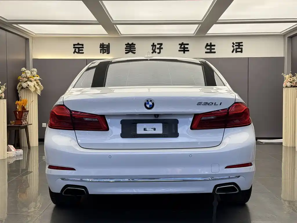 BMW 5 Series 2019 — фото 13