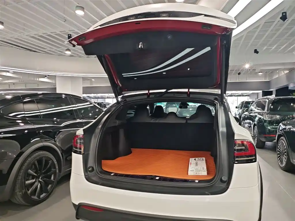 Tesla Model X 2023 — фото 19