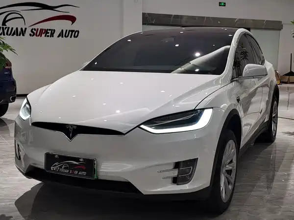 Tesla Model X 2019