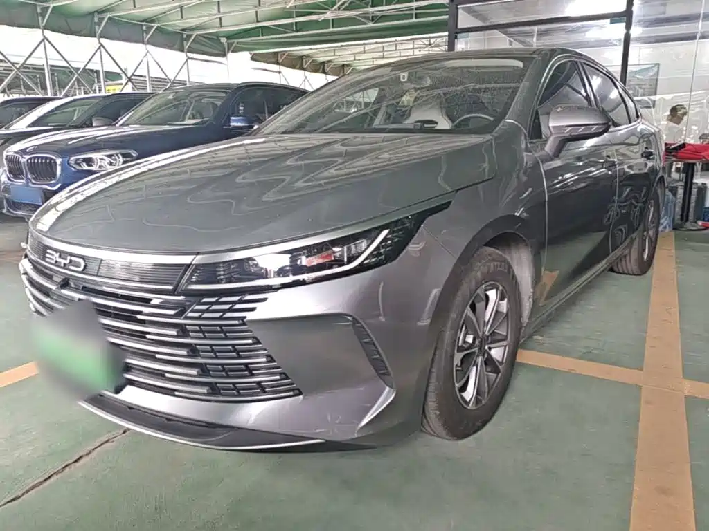 BYD Destroyer 05 2024 — фото 2
