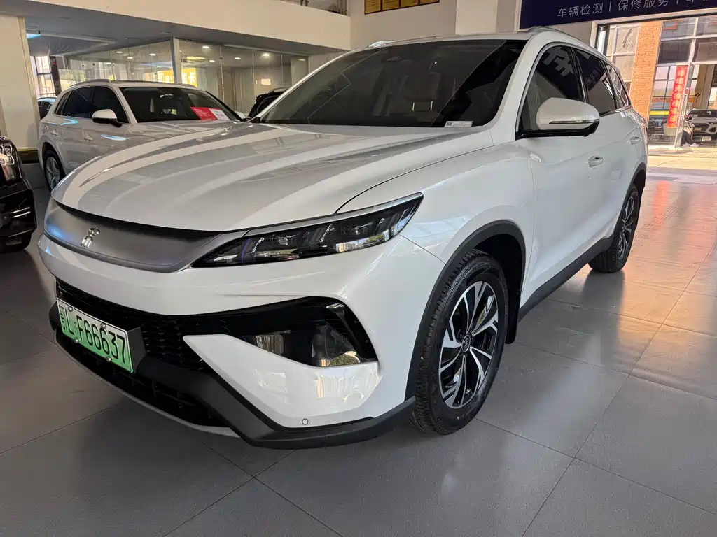 BYD Pro New Energy 2024 — фото 1