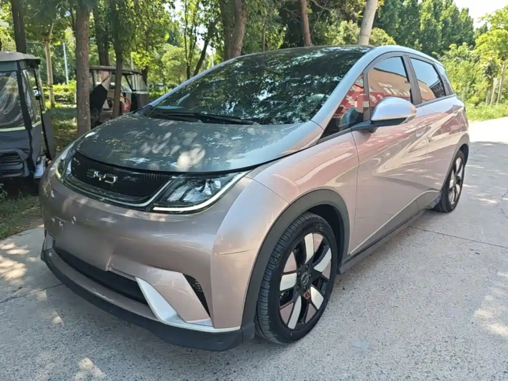 BYD Dolphin 2022