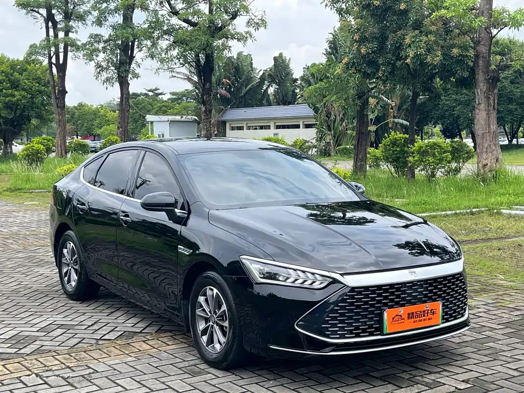 BYD Qin PLUS 2024 — фото 3