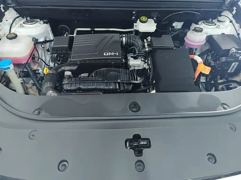 BYD Pro New Energy 2024 — фото 20