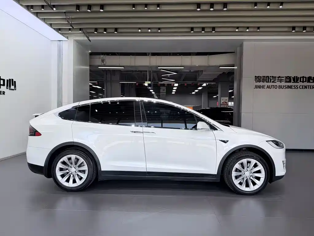 Tesla Model X 2017 — фото 8