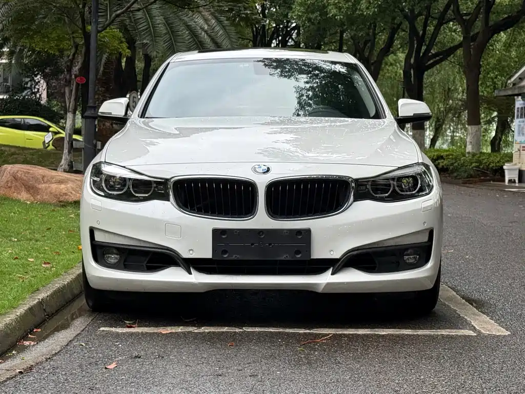 BMW 3 Series GT 2017 — фото 2