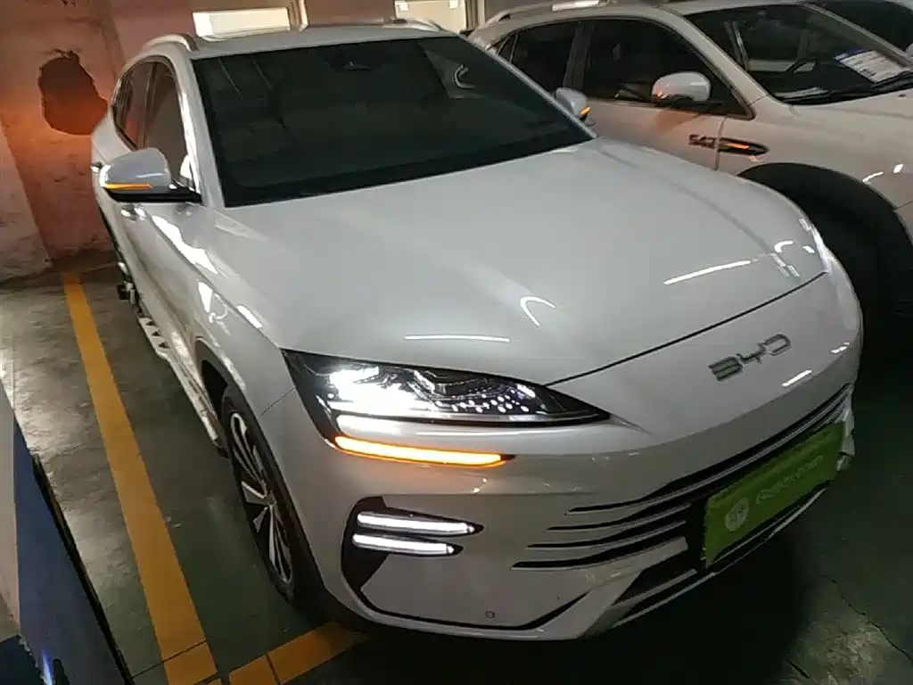 BYD PLUS New Energy 2024 — фото 4