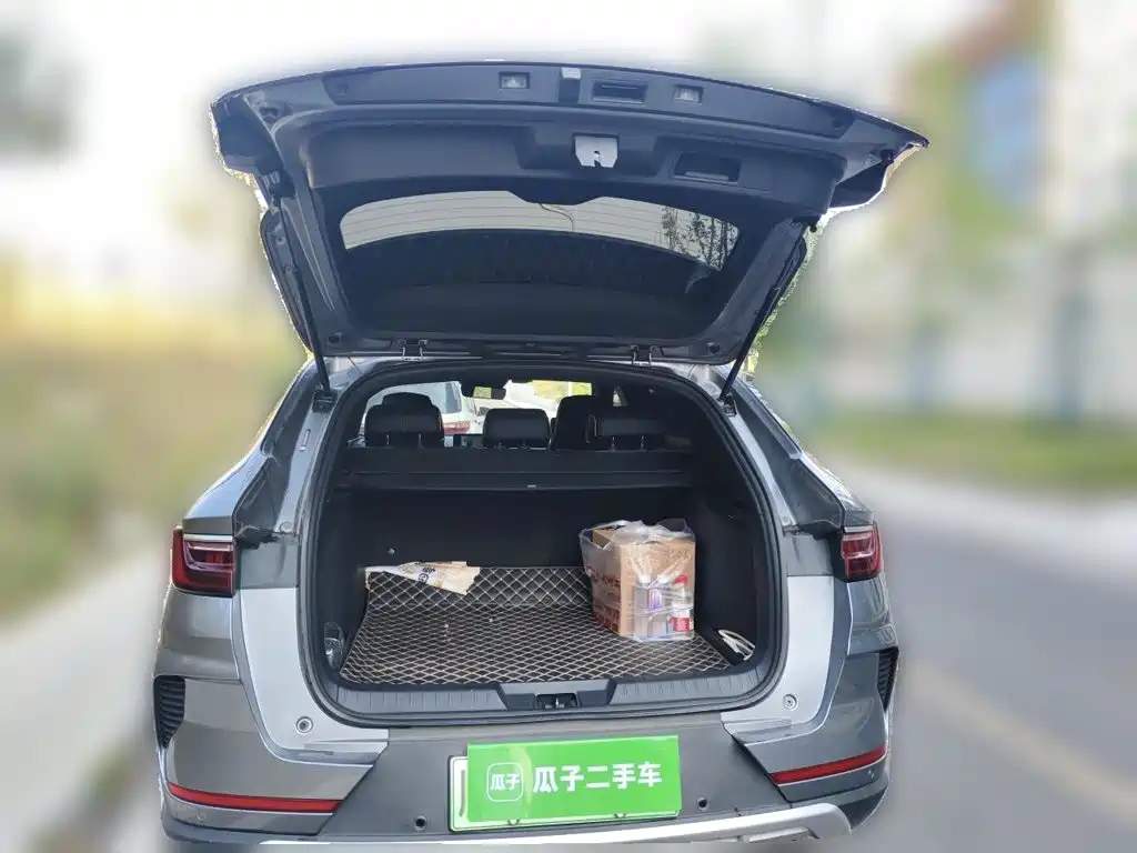 BYD PLUS New Energy 2021 — фото 10