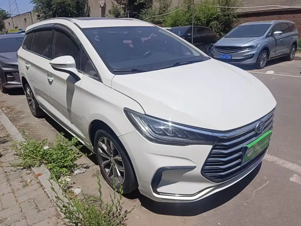 BYD MAX 2020