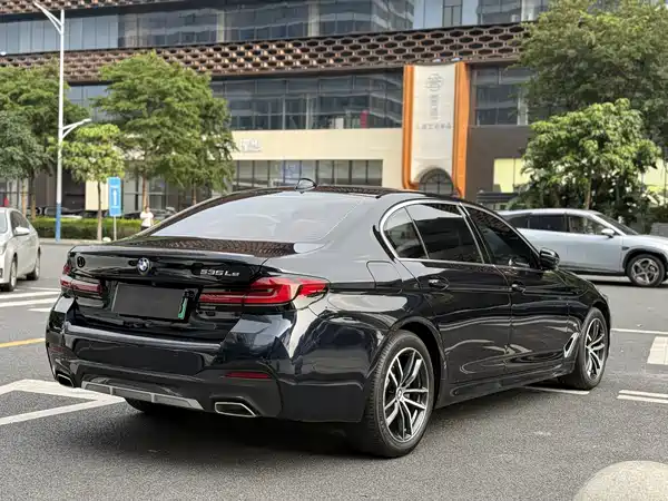 BMW 5 Series New Energy 2021