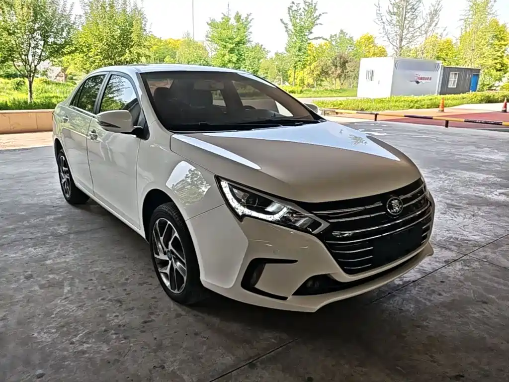BYD Qin NEV 2019 — фото 4