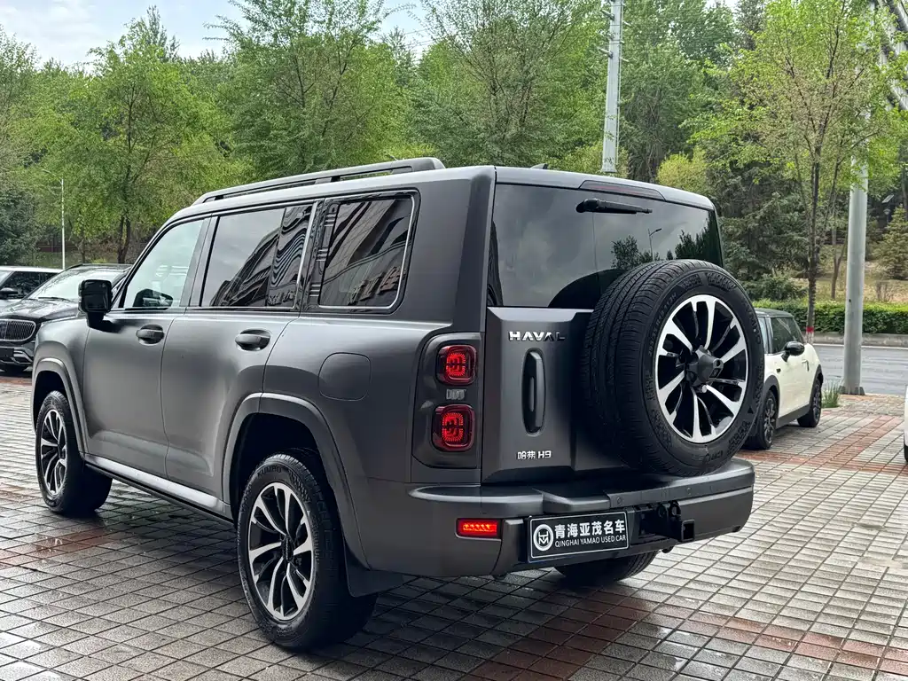 Haval H9 2024 — фото 19