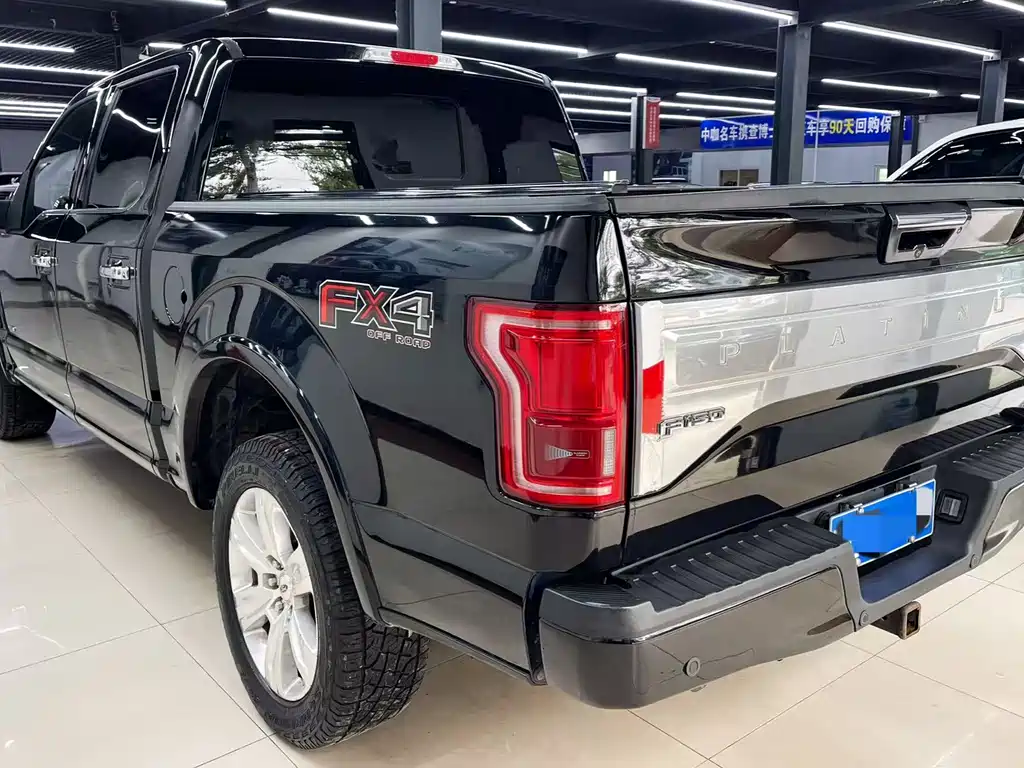 Ford F-150 Raptor 2015 — фото 3