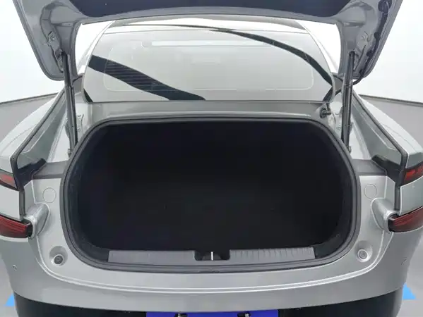 XPeng P7 2021
