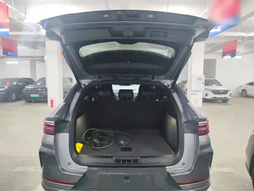 BYD Song PLUS New Energy 2022 — фото 15