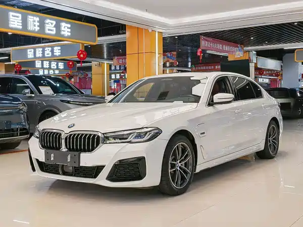 BMW 5 Series New Energy 2022