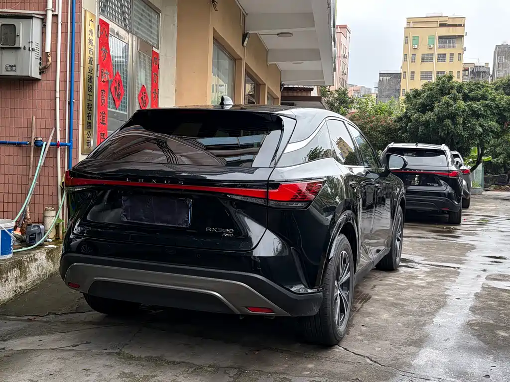 Lexus RX 2024 — фото 10