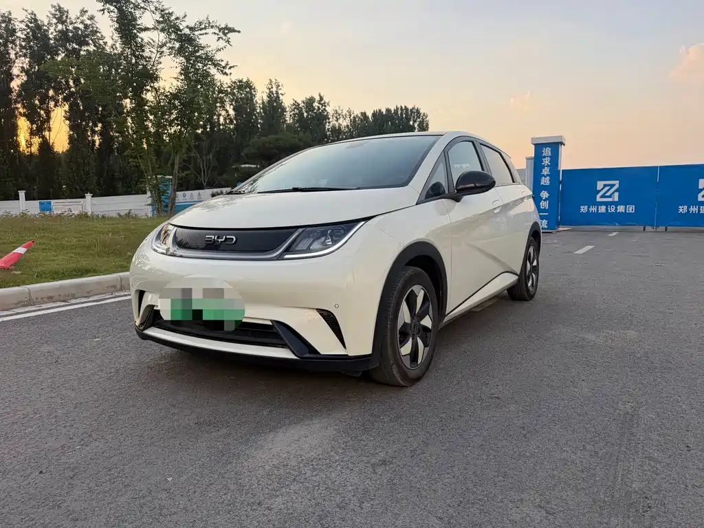 BYD Dolphin 2024
