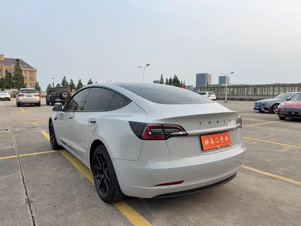 Tesla Model 3 2019