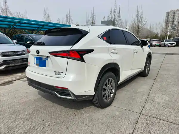 Lexus NX 2020