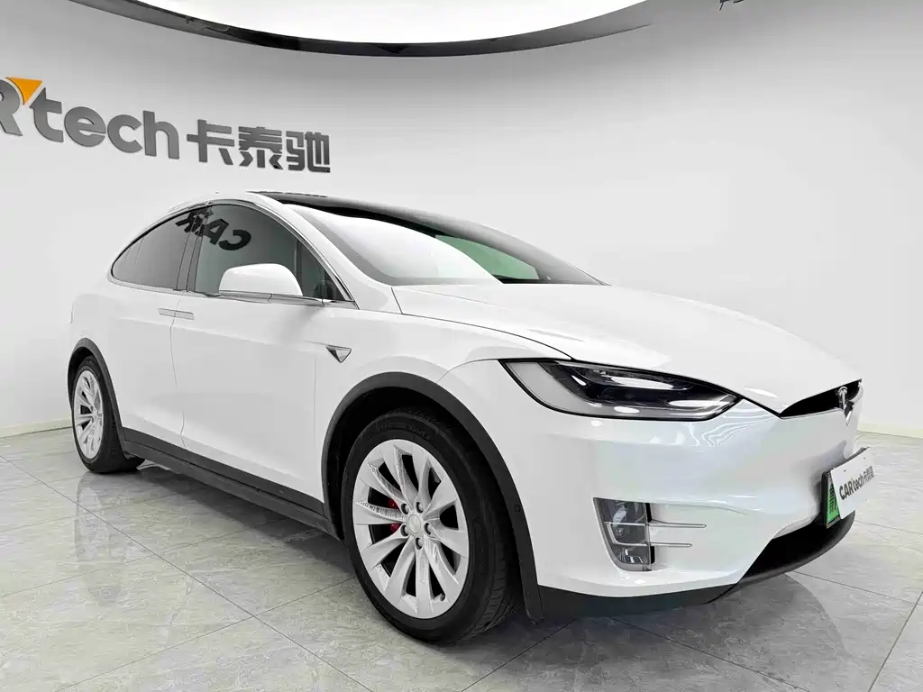 Tesla Model X 2019