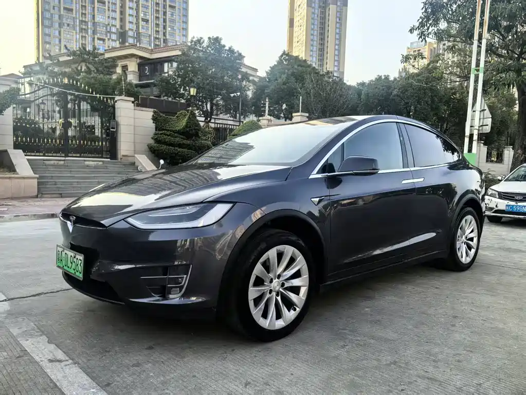 Tesla Model X 2020