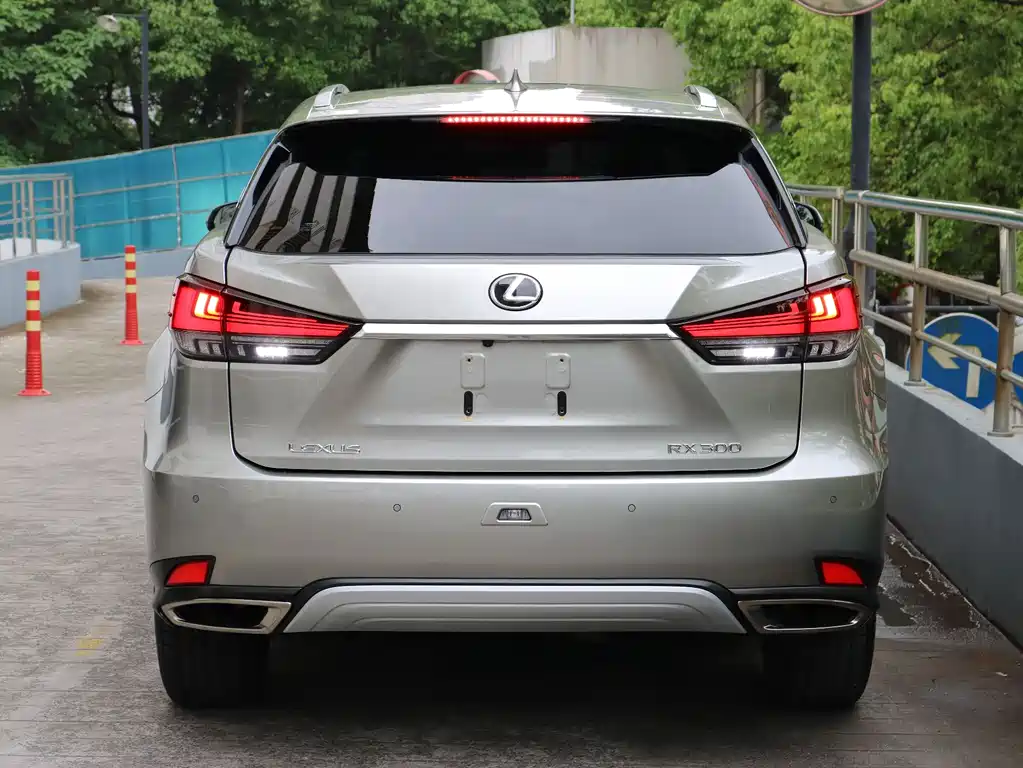 Lexus RX 2021 — фото 5