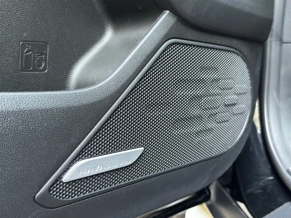 Haval Big Dog 2025 — фото 13